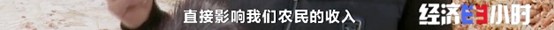 图片55.jpg