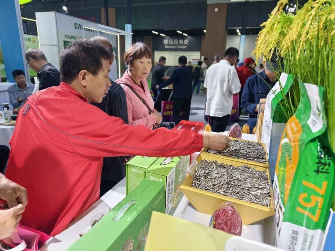 20251001827964.png 图片5.png