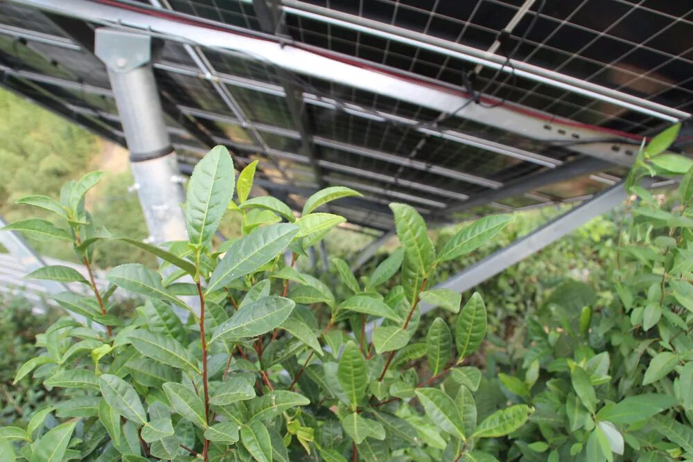 20251118199043.jpg 微信图片_2025-11-18_111143_049.jpg